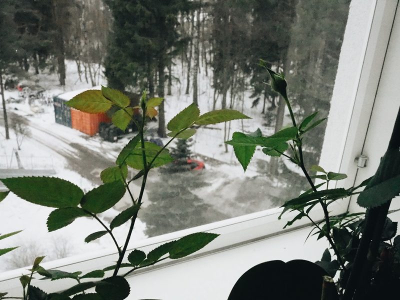 30 asiaa, jotka voit heittää pois heti