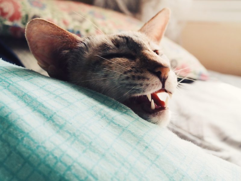 Helli sun mirriä