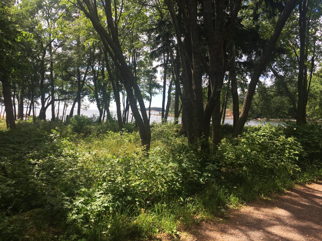 luonto-meri-lauttasaari