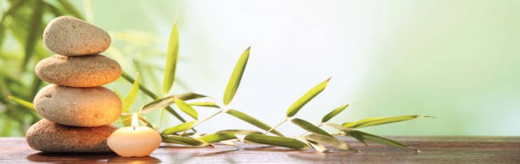 wellness-banner