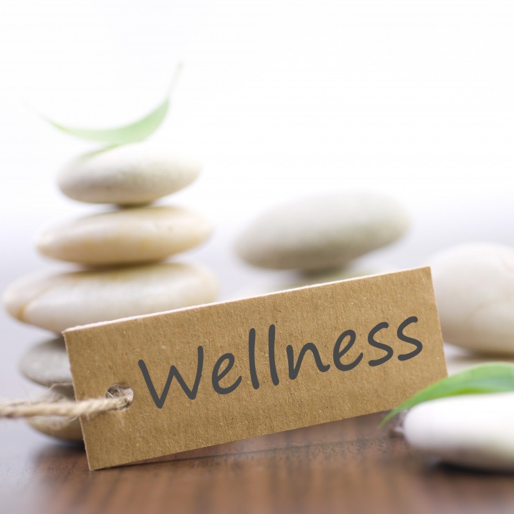 wellness-image