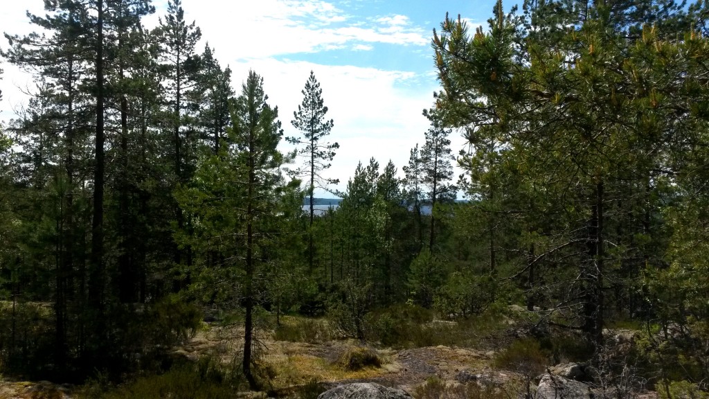 Sammalvuoren huipulta pilkahteli Päijänne.