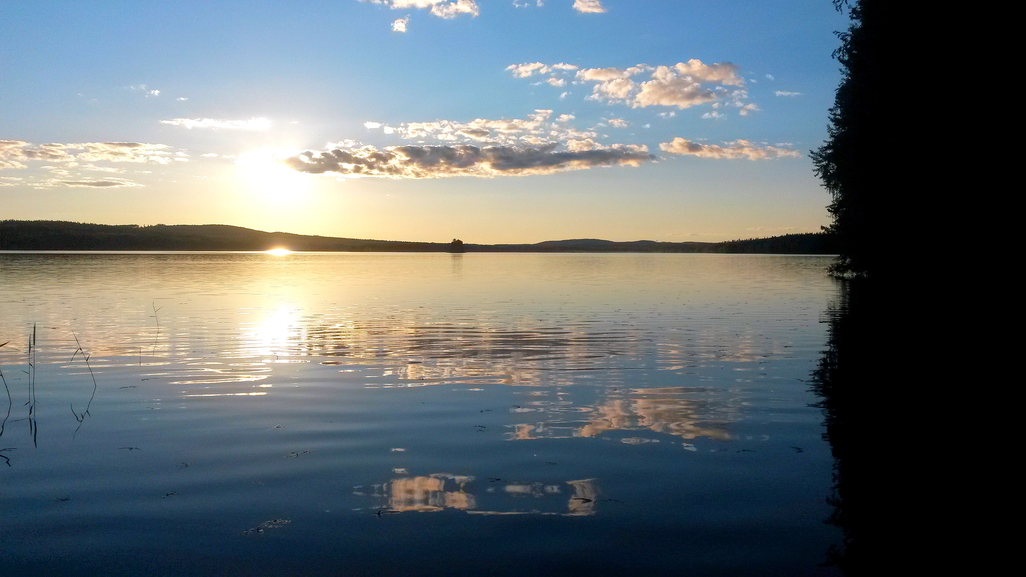 järvi