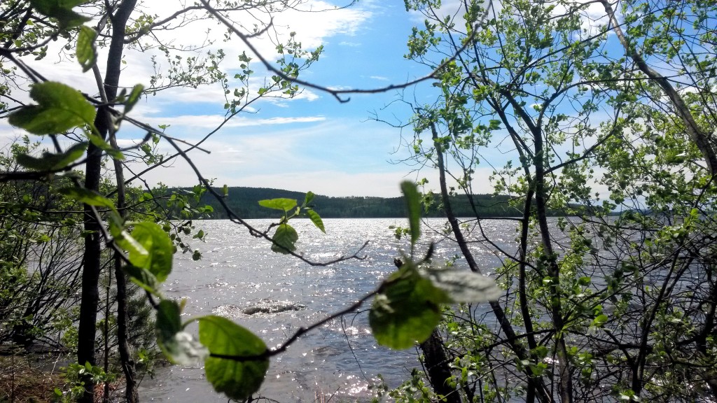 Nuotiopaikan maisema.