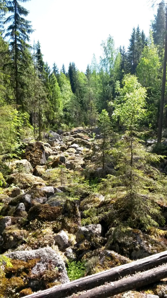 Vanhaa järvenpohjaa.