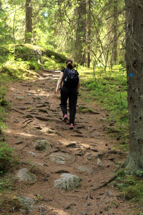 kiipeämässä näköalapaikalle