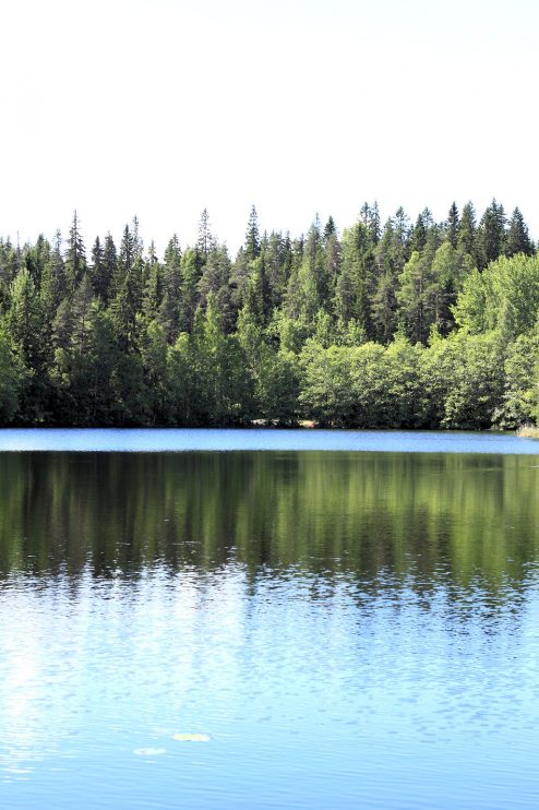 särkijärvi