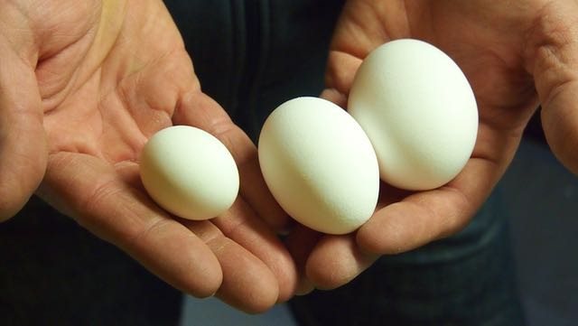Pieni, keskikokoinen ja jättiläinen