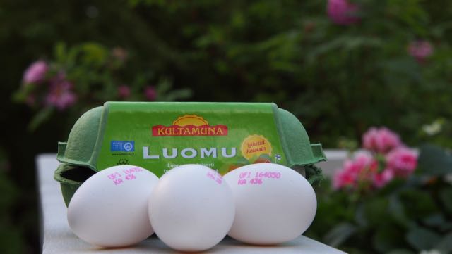 Kultamuna luomumunia. Munan kuoressa on koodi, josta näkee miltä tilaöta munat ovat tuleet. Nämä eivät ole tilalta jolla vierailin.