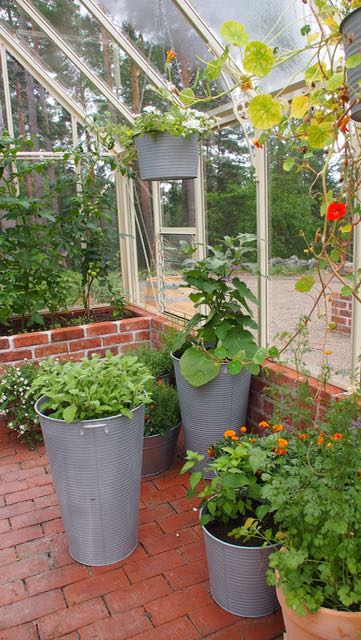 Orangerie