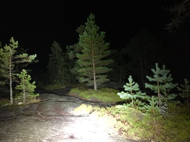 Tunnetko metsän tuoksun?