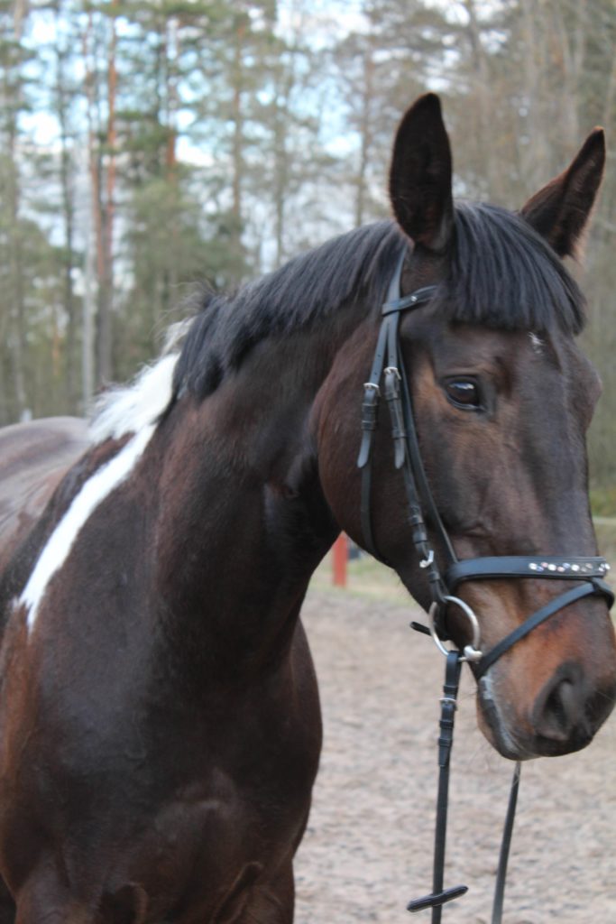 Epävarmoin katsein, onkohan se tukka kuitenkaan hyvin. No ei ole.
