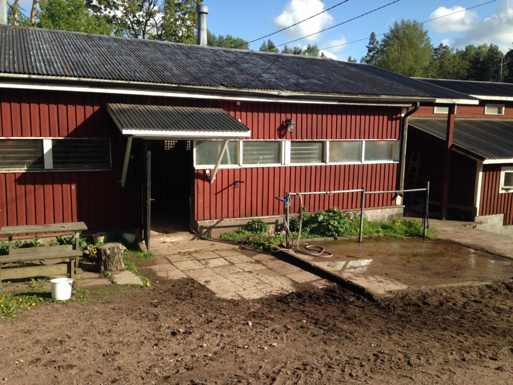 Talli on hevosen koti. Vähän niin kuin pylly on kakan koti.