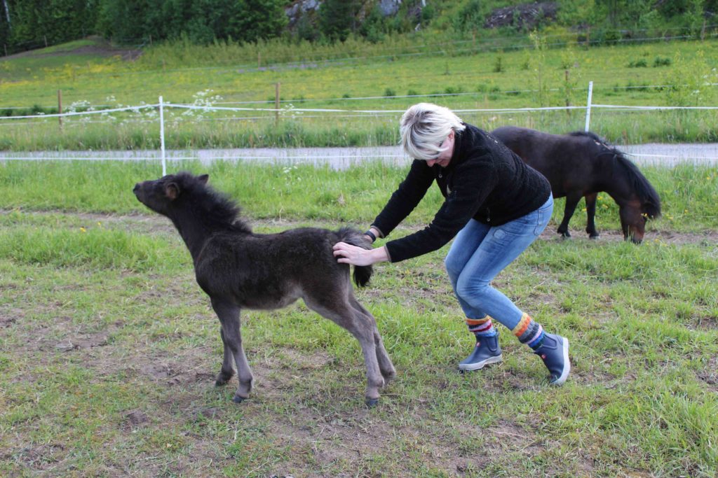 Aah, uuh, ööh, just siitä, just siiiiitääää!
