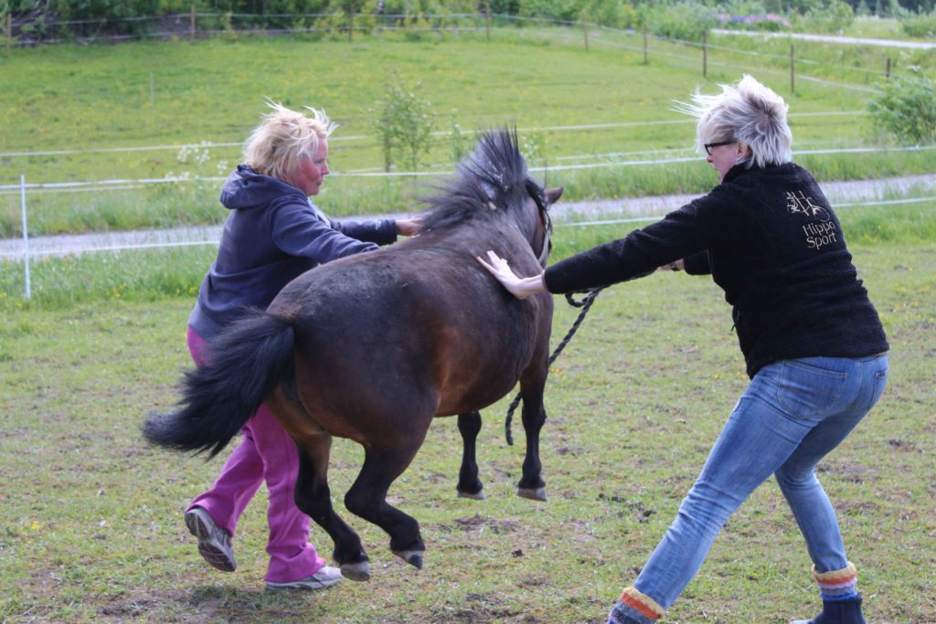 No niin, heeetkineeeen nyt! Hanki sinäkin vapuksi poni narun päähän.