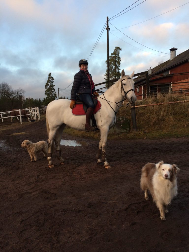 Älyköt jouluisessa maisemassa.