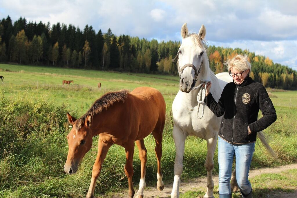 Niin, katsos Katja, kyllä sinun nyt jo pitäisi ymmärtää mitä minä tarvitsen ja mitä en.