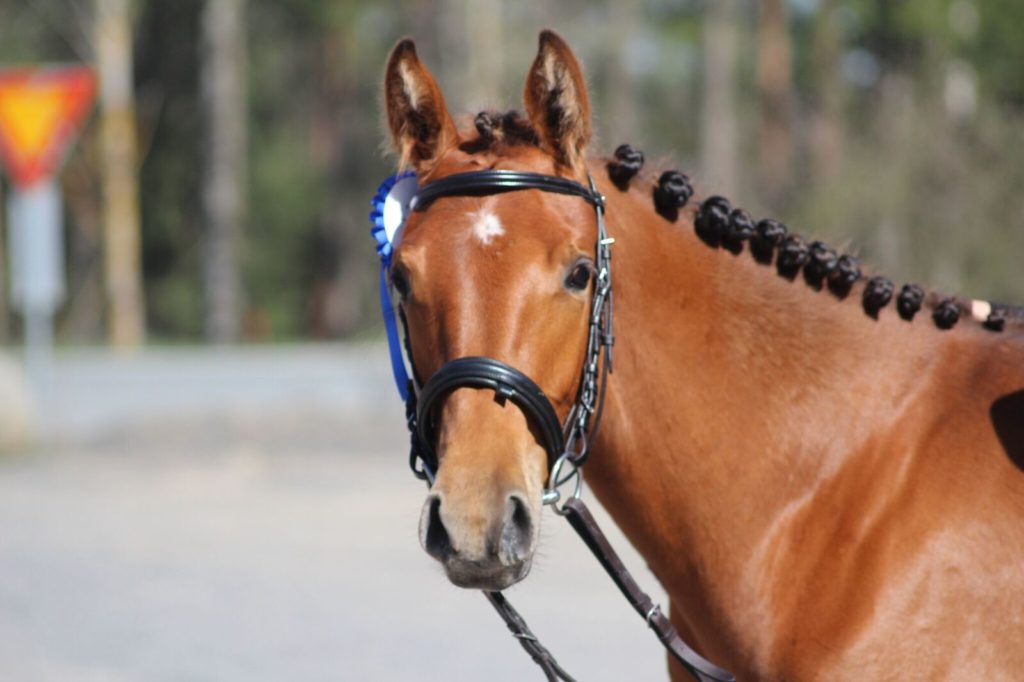 Hilppa, toinen perintöprinsessa.