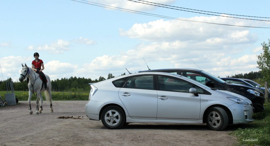 Kattokaa, mun auto on selvästi kakannut!