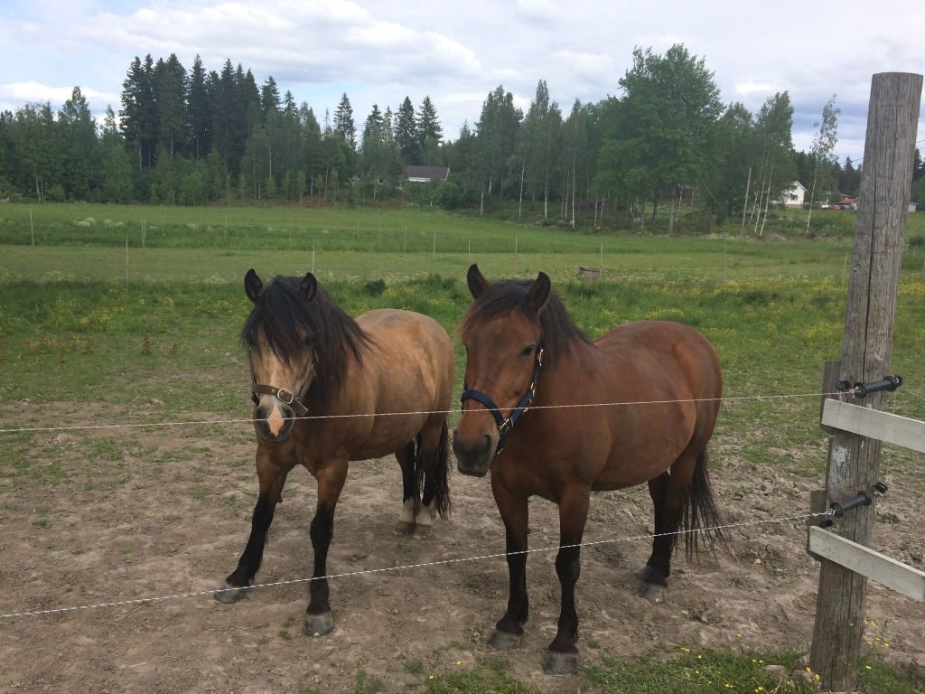 Joo, oli ihan kiva tavata, mutta voidaanko sopia ettette ihan heti tule takas.