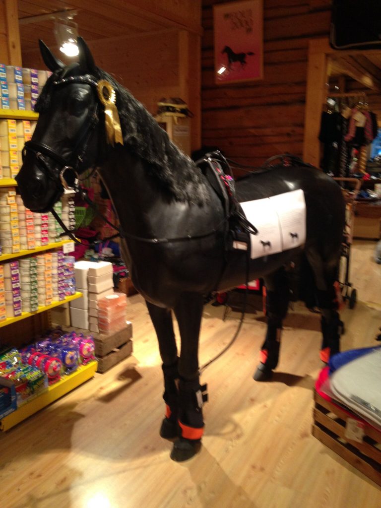 Tähän hevoseen voi luottaa sataprosenttisesti. (Kyselkää tunteja Hipposportista, myös ylläpito ok.)