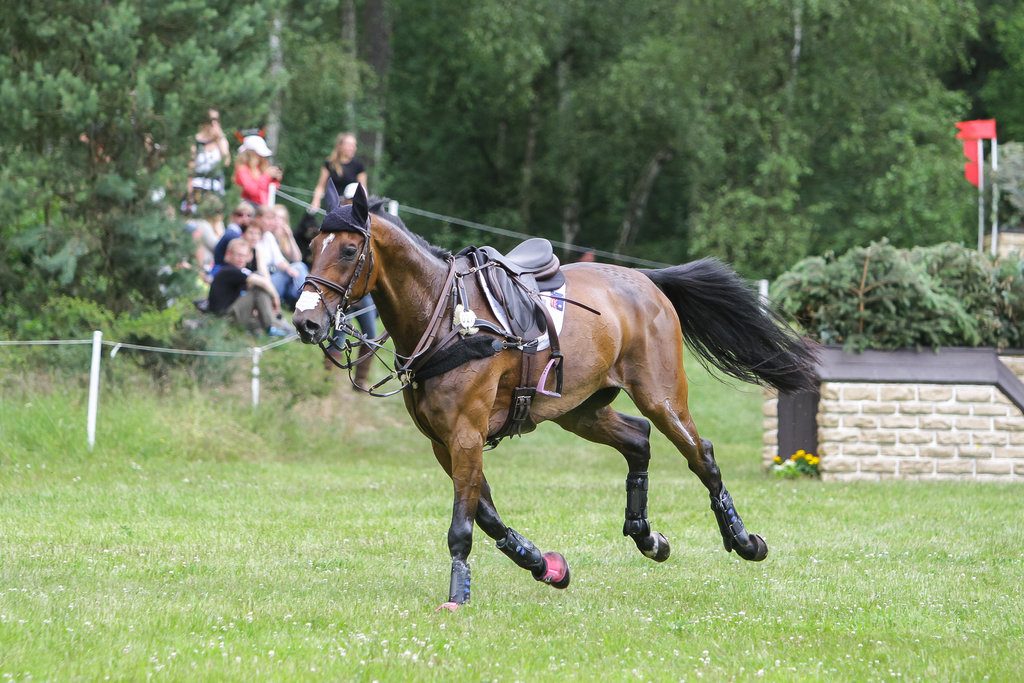 FEI International Three Day Event Luhmühlen 2014, kuva: LudaStock