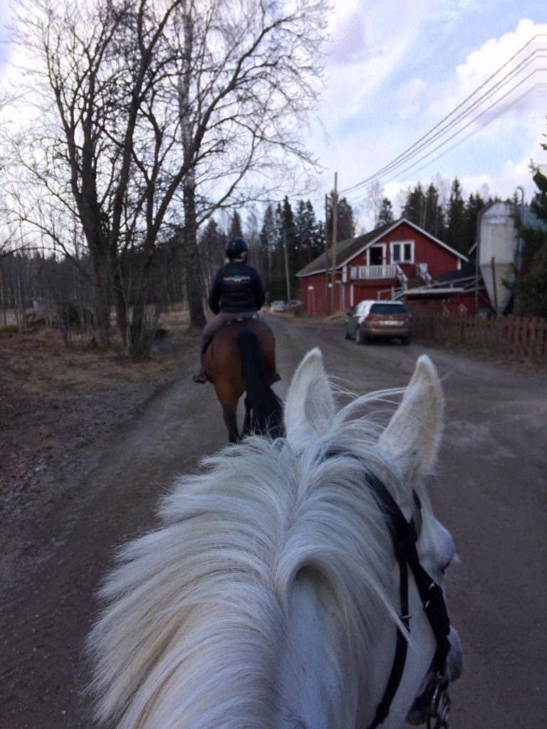 Näkymä Pullukan seljästä.