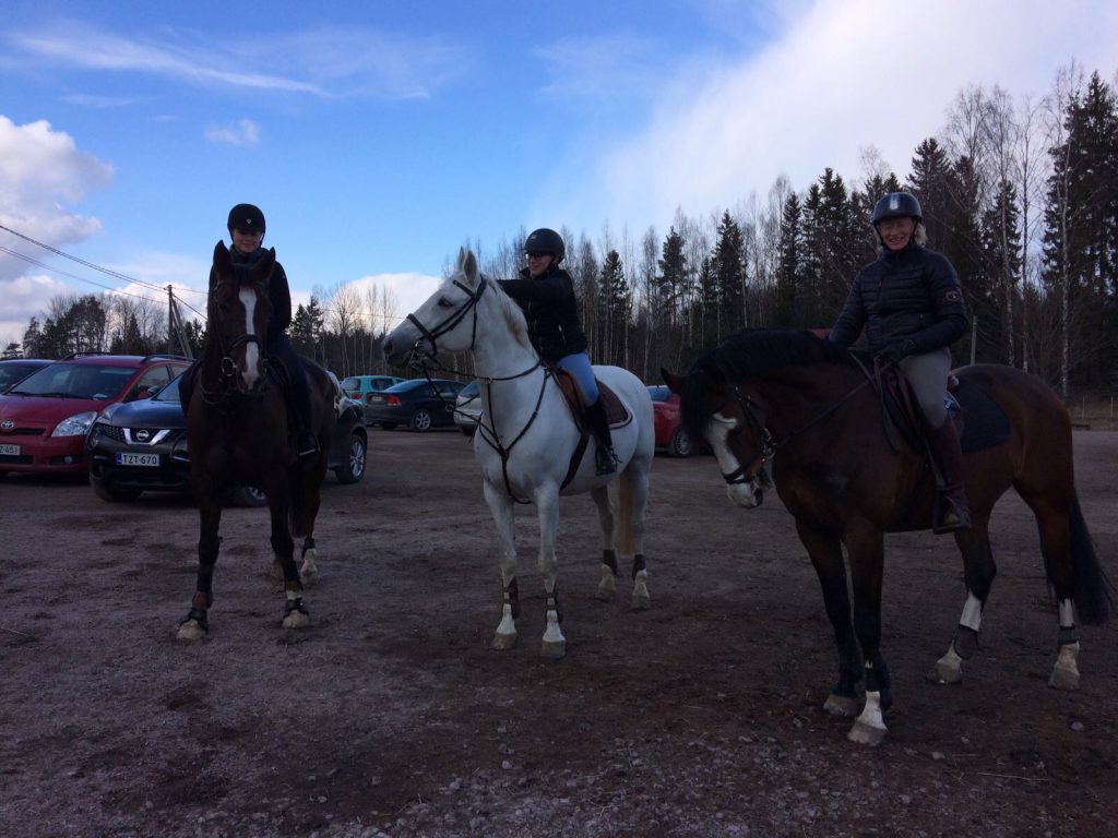 Nalle, Pulde, Masa.