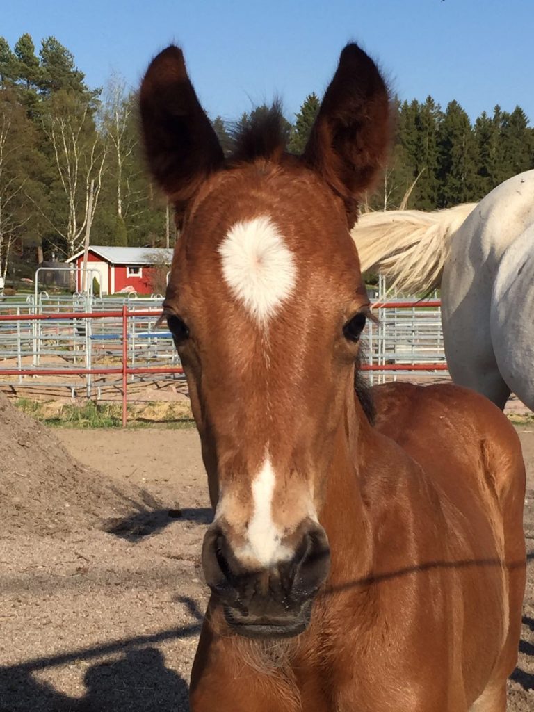 No mikä tässä nyt on niin ihmeellistä?