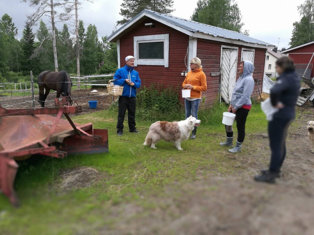 Yrtti-Jyrki avaa kasvien salat.