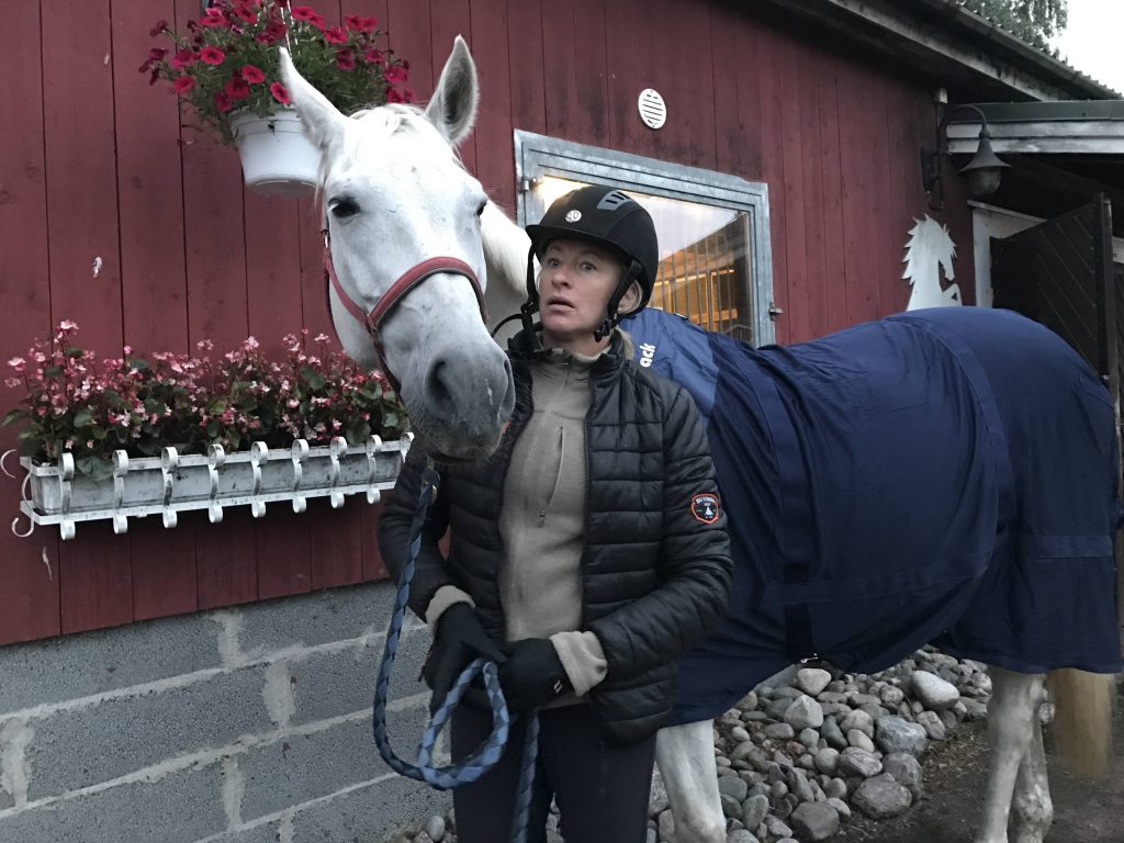 No niin, hetken kuluttua oltiin taas ihan kujalla.