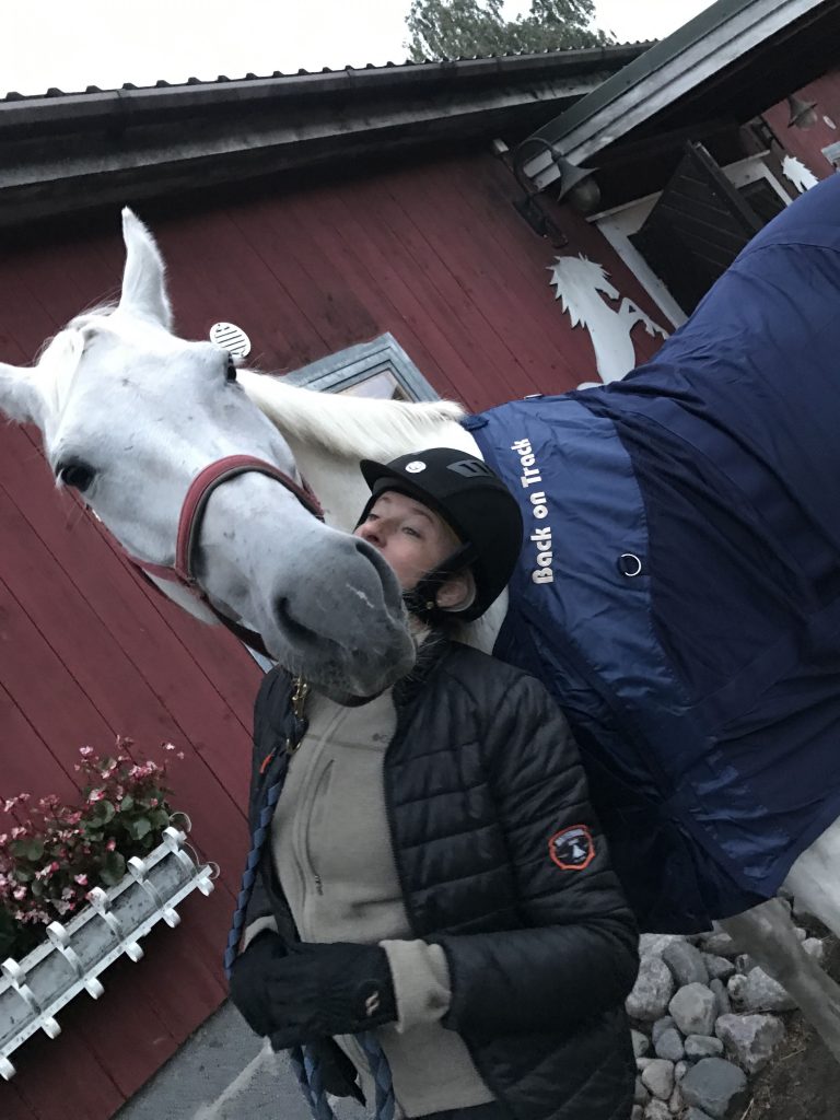 Ja sitten hevonen sotkee hienon kuvaustilanteen.