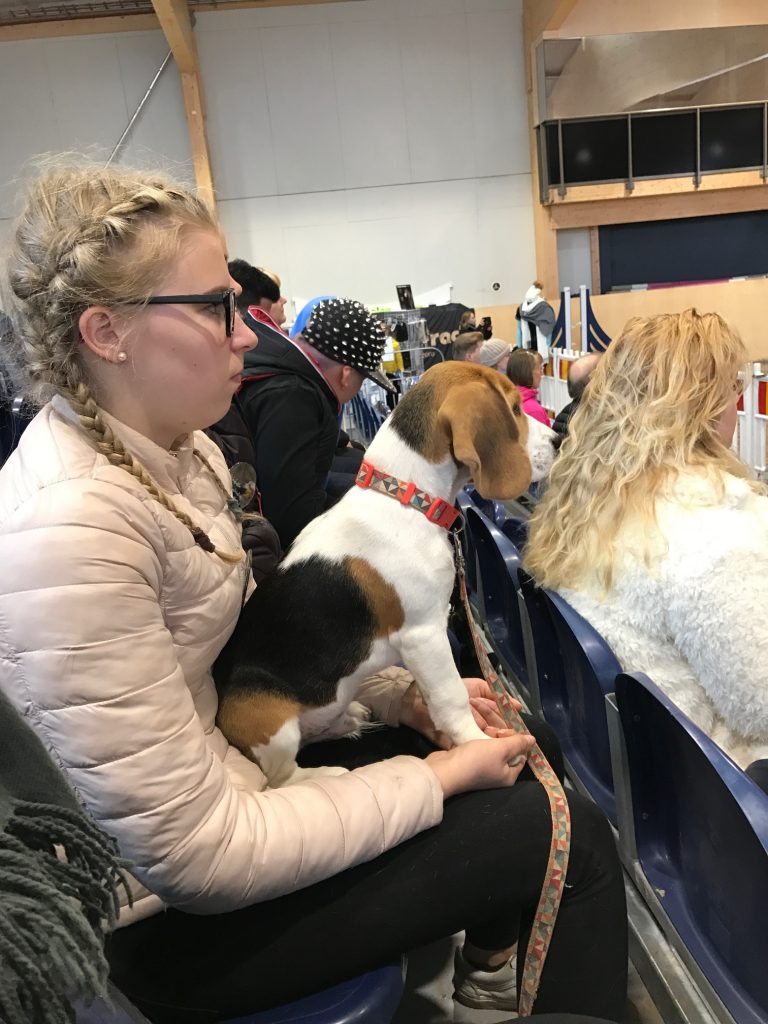 Kiinnostuneet, toinen naisoletettu, toinen mies-.