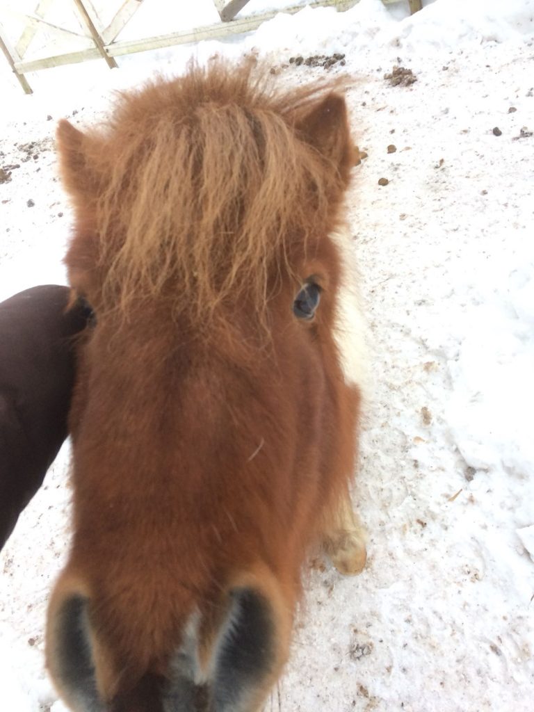 Neuvottelu päällä Keiteleellä.