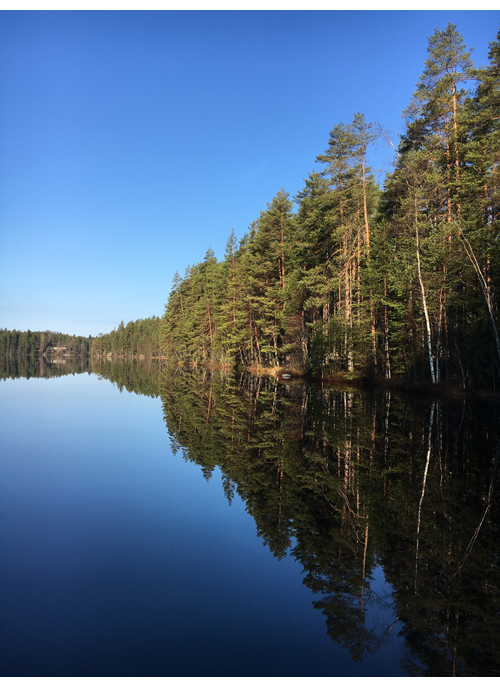 Vappu2016_IMG_1454
