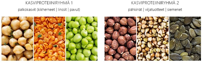 kasviproteiinin lähteet