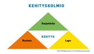 kehityskolmio